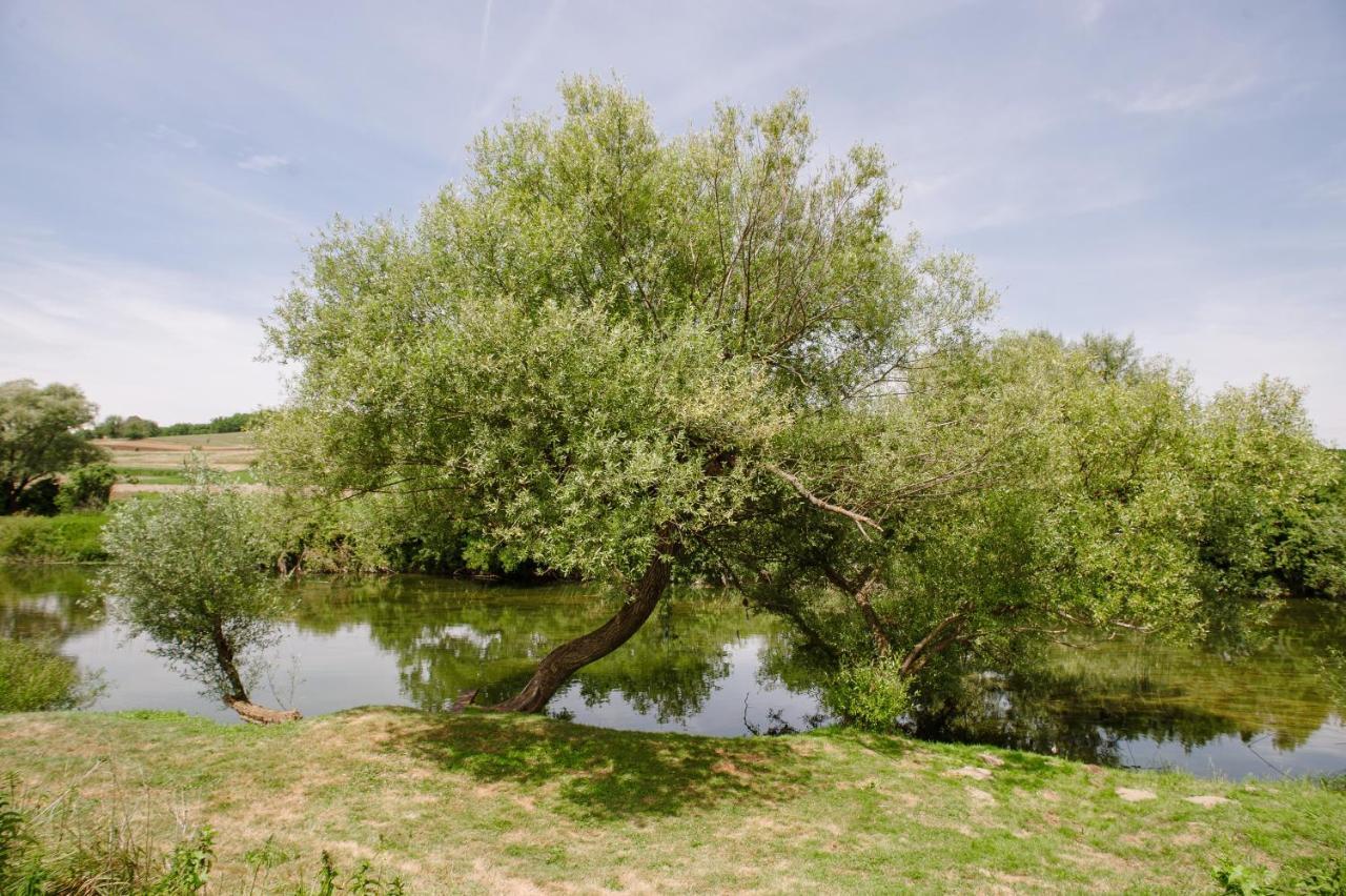 Traditional Houses Korana River كارلوفاتش المظهر الخارجي الصورة